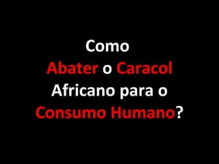 Como  Abater  o  Caracol  Africano para o  Consumo Humano ? 