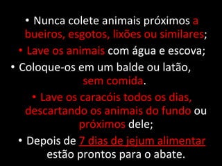 Nunca colete animais próximos  a bueiros, esgotos, lixões ou similares ; Lave os animais  com água e escova; Coloque-os em um balde ou latão,  sem comida .  Lave os caracóis todos os dias, descartando os animais do fundo  ou  próximos  dele; Depois de  7 dias de jejum alimentar   estão prontos para o abate. 