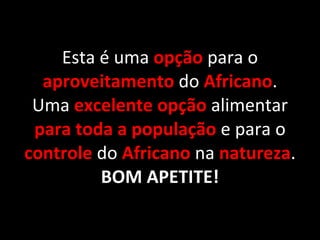 Esta é uma  opção  para o  aproveitamento   do  Africano . Uma  excelente opção  alimentar  para toda a população  e para o  controle   do   Africano   na   natureza . BOM APETITE! 