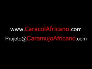 www. CaracolAfricano. com Projeto@ CaramujoAfricano .com 
