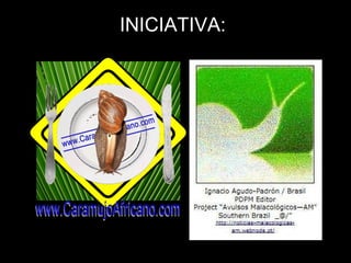 INICIATIVA: 