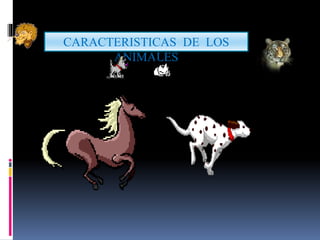 CARACTERISTICAS DE LOS
ANIMALES
 