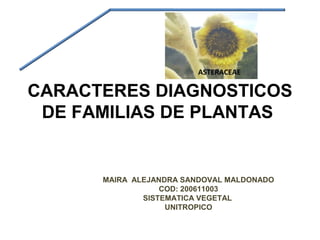 ASTERACEAE

CARACTERES DIAGNOSTICOS
 DE FAMILIAS DE PLANTAS


      MAIRA ALEJANDRA SANDOVAL MALDONADO
                  COD: 200611003
              SISTEMATICA VEGETAL
                   UNITROPICO
 