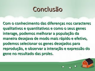 Conclusão
Com o conhecimento das diferenças nos caracteres
qualitativos e quantitativos e como o seus genes
interage, podemos melhorar a população da
maneira desejava de modo mais rápido e efetivo,
podemos selecionar os genes desejados para
reprodução, e observar a interação e expressão do
gene no resultado das proles.
 