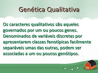 Genética Qualitativa
Os caracteres qualitativos são aqueles
governados por um ou poucos genes.
Denominados de variáveis discretas por
apresentarem classes fenotípicas facilmente
separáveis umas das outras, podem ser
associadas a um ou poucos genótipos.
 