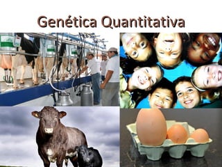 Genética Quantitativa
 
