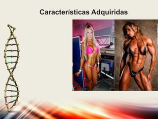 Características Adquiridas

 