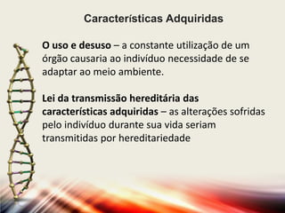 Características Adquiridas
O uso e desuso – a constante utilização de um
órgão causaria ao indivíduo necessidade de se
adaptar ao meio ambiente.
Lei da transmissão hereditária das
características adquiridas – as alterações sofridas
pelo indivíduo durante sua vida seriam
transmitidas por hereditariedade

 
