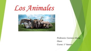 Los Animales
Profesora: Carmen Gloria
Olave
Curso: 1° básico
 