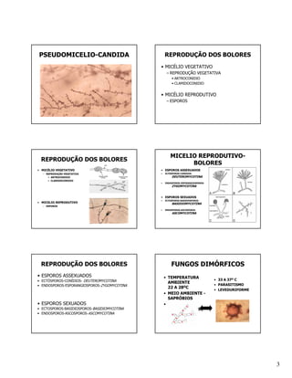 PSEUDOMICELIO-CANDIDA                            REPRODUÇÃO DOS BOLORES
                                             • MICÉLIO VEGETATIVO
                                                  – REPRODUÇÃO VEGETATIVA
                                                     • ARTROCONIDIO
                                                     • CLAMIDOCONIDIO


                                             • MICÉLIO REPRODUTIVO
                                                  – ESPOROS




                                                    MICELIO REPRODUTIVO-
 REPRODUÇÃO DOS BOLORES
                                                          BOLORES
• MICÉLIO VEGETATIVO                         • ESPOROS ASSEXUADOS
  – REPRODUÇÃO VEGETATIVA                    •   ECTÓSPOROS-CONÍDIOS-
     • ARTROCONIDIO                                  DEUTEROMYCOTINA
     • CLAMIDOCONIDIO
                                             •   ENDOSPOROS-ESPORANGIOSPOROS-
                                                     ZYGOMYCOTINA


                                             • ESPOROS SEXUADOS
                                             •   ECTOSPOROS-BASIDIOSPOROS-
• MICELIO REPRODUTIVO                                BASIDIOMYCOTINA
  – ESPOROS
                                             •   ENDOSPOROS-ASCOSPOROS-
                                                     ASCOMYCOTINA




 REPRODUÇÃO DOS BOLORES                              FUNGOS DIMÓRFICOS
• ESPOROS ASSEXUADOS                             • TEMPERATURA
• ECTÓSPOROS-CONÍDIOS- DEUTEROMYCOTINA                                          • 33 A 37O C
                                                   AMBIENTE
• ENDOSPOROS-ESPORANGIOSPOROS-ZYGOMYCOTINA                                      • PARASITISMO
                                                   22 A 28OC
                                                                                • LEVEDURIFORME
                                                 • MEIO AMBIENTE -
                                                   SAPRÓBIOS
• ESPOROS SEXUADOS                               • FUNGOS
• ECTOSPOROS-BASIDIOSPOROS-BASIDIOMYCOTINA         FILAMENTOSOS
• ENDOSPOROS-ASCOSPOROS-ASCOMYCOTINA




                                                                                                  3
 