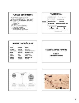 FUNGOS DIMÓRFICOS                                     TAXONOMIA
                                                       MASTIGOMYCOTINA        FUNGOS AQUÁTICOS
• FASE MICELIAL (M) OU (F) E FASE
  LEVEDURIFORME (L) OU (Y) E VICE-VERSA                 ZIGOMYCOTINA        HIFA CENOCÍTICA

• FATORES QUE ESTIMULAM A CONVERSÃO:
                                                       BASIDIOMYCOTINA           COGUMELOS
   – TEMPERATURA                               FUNGI
   – TENSÃO DE CO2                                     ASCOMYCOTINA       REPRODUÇÃO SEXUADA / ASCOS
   – NUTRIENTES
• INCLUEM VÁRIOS PATÓGENOS                              DEUTEROMYCOTINA     REPRODUÇÃO ASEXUADA
   – SPOROTHRIX SCHENCKII
   – HISTOPLASMA CAPSULATUM                             MICOSES
   – PARACOCCIDIOIDES BRASILIENSIS                                    BOLOR HIFA SEPTADA      LEVEDURA
                                                                       ESPOROS EXTERNOS




    NIVEIS TAXONÔMICOS

REINO         SUFIXOS        FUNGI
DIVISÃO       MYCOTA         EUMYCOTA
SUBDIVISÃO    MYCOTINA       DEUTEROMYCOTINA
                                                   ECOLOGIA DOS FUNGOS
CLASSE        MYCETES        HYPHOMYCETES
ORDEM         ALES           MONILIALES                       HABITAT
FAMÍLIA       ACEAE          MONILIACEAE                 VIAS DE DISPERSÃO
GÊNERO        NÃO TEM        ASPERGILLUS
ESPÉCIE       NÃO TEM        FLAVUS




                                                                                                         4
 