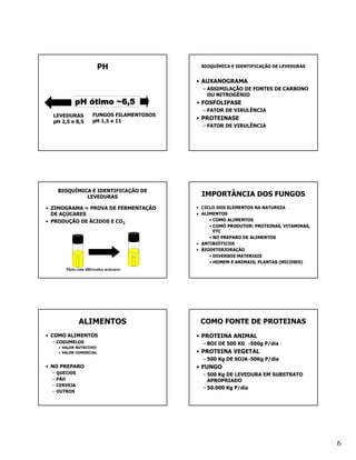 PH                   BIOQUÍMICA E IDENTIFICAÇÃO DE LEVEDURAS


                                            • AUXANOGRAMA
                                              – ASSIMILAÇÃO DE FONTES DE CARBONO
                                                OU NITROGÊNIO
             pH ótimo ~6,5                  • FOSFOLIPASE
                                              – FATOR DE VIRULÊNCIA
  LEVEDURAS           FUNGOS FILAMENTOSOS
                      pH 1,5 e 11
                                            • PROTEINASE
  pH 2,5 e 8,5
                                              – FATOR DE VIRULÊNCIA




      BIOQUÍMICA E IDENTIFICAÇÃO DE
               LEVEDURAS                     IMPORTÂNCIA DOS FUNGOS
• ZIMOGRAMA = PROVA DE FERMENTAÇÃO          • CICLO DOS ELEMENTOS NA NATUREZA
  DE AÇÚCARES                               • ALIMENTOS
• PRODUÇÃO DE ÁCIDOS E CO2                       • COMO ALIMENTOS
                                                 • COMO PRODUTOR: PROTEINAS, VITAMINAS,
                                                   ETC
                                                 • NO PREPARO DE ALIMENTOS
                                            • ANTIBIÓTICOS
                                            • BIODETERIORAÇÃO
                                                 • DIVERSOS MATERIAIS
                                                 • HOMEM E ANIMAIS; PLANTAS (MICOSES)
         Meio com diferentes acúcares




                ALIMENTOS                    COMO FONTE DE PROTEINAS
• COMO ALIMENTOS                            • PROTEINA ANIMAL
  – COGUMELOS                                 – BOI DE 500 KG -500g P/dia
      • VALOR NUTRITIVO
      • VALOR COMERCIAL                     • PROTEINA VEGETAL
                                              – 500 Kg DE SOJA -50Kg P/dia
• NO PREPARO                                • FUNGO
  –   QUEIJOS                                 – 500 Kg DE LEVEDURA EM SUBSTRATO
  –   PÃO                                       APROPRIADO
  –   CERVEJA
                                              – 50.000 Kg P/dia
  –   OUTROS




                                                                                          6
 