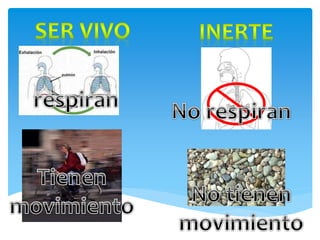 Cuadro de diferencias ser vivo e inerte