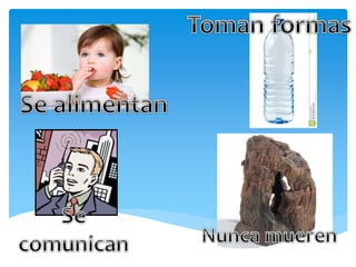 Cuadro de diferencias ser vivo e inerte