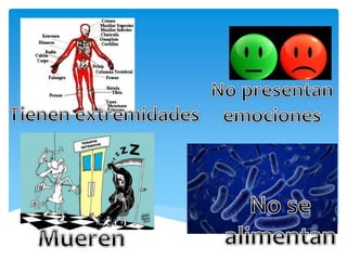 Cuadro de diferencias ser vivo e inerte