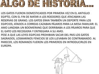 LOS GATOS FUERON DOMESTICADOS POR PRIMERA VEZ EN EL ANTIGUO 
EGIPTO, CON EL FIN DE MATAR A LOS ROEDORES QUE ATACABAN LAS 
RESERVAS DE GRANO. LOS GATOS ERAN TAMBIÉN UN DEPORTE PARA LOS 
EGIPCIOS; ATADOS A CORREAS CAZABAN PÁJAROS PARA LA MESA FAMILIAR: EL 
AMO LANZABA UN BOOMERANG QUE DERRIBABA A LOS PÁJAROS PARA QUE 
EL GATO LOS RECOGIERA Y ENTREGARA A SU AMO. 
PESE A QUE LAS LEYES EGIPCIAS PROHIBIAN SACAR DEL PAIS LOS GATOS 
SAGRADOS, LOSMARINOS FENICIOS SE LOS LLEVABAN DE CONTRABANDO. AL 
PARECER, LOS ROMANOS FUERON LOS PRIMEROS EN INTRODUCIRLOS EN 
EUROPA. 
