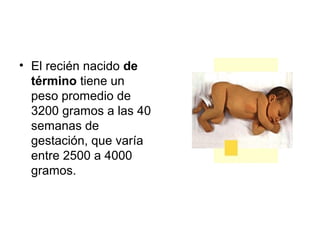 • El recién nacido de
  término tiene un
  peso promedio de
  3200 gramos a las 40
  semanas de
  gestación, que varía
  e...