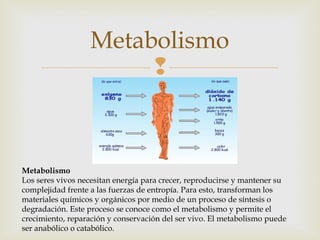 Metabolismo 
 
Metabolismo 
Los seres vivos necesitan energía para crecer, reproducirse y mantener su 
complejidad frente a las fuerzas de entropía. Para esto, transforman los 
materiales químicos y orgánicos por medio de un proceso de síntesis o 
degradación. Este proceso se conoce como el metabolismo y permite el 
crecimiento, reparación y conservación del ser vivo. El metabolismo puede 
ser anabólico o catabólico. 
 