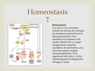 Homeostasis 
 
Homeostasis 
Los seres vivos necesitan 
resistir las fuerzas de entropía 
(la tendencia natural hacia la 
desorganización). Para 
mantener la constancia del 
medio interno de su cuerpo 
(temperatura corporal, 
equilibrio de electrolitos, etc.), 
necesitan gastar energía. 
Termorregulación: Es la 
regulación del calor y el frío. 
Osmorregulación Regulación 
del agua e iones 
 
