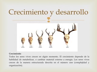 Crecimiento y desarrollo 
 
Crecimiento 
Todos los seres vivos crecen en algún momento. El crecimiento depende de la 
habilidad de metabolizar, o cambiar material externo a energía. Los seres vivos 
crecen de la manera estructurada descrita en el número uno (complejidad y 
organización). 
 