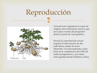 Reproducción 
 
Asexual (solo organismo es capaz de 
originar otros individuos nuevos, que 
son copias exactas del progenitor 
desde el punto de vista genético. 
Sexual (La reproducción sexual 
requiere la intervención de dos 
individuos, siendo de sexos 
diferentes. Los descendientes, serán 
fruto de la combinación del ADN de 
ambos progenitores y, por tanto, 
serán genéticamente distintos a ellos) 
 