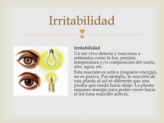Irritabilidad 
 
Irritabilidad 
Un ser vivo detecta y reacciona a 
estímulos como la luz, presión, 
temperatura y/o composición del suelo, 
aire, agua, etc. 
Esta reacción es activa (requiere energía), 
no es pasiva. Por ejemplo, la reacción de 
una planta al sol es diferente que una 
piedra que rueda hacia abajo. La planta 
requiere energía para poder crecer hacia 
el sol (una reacción activa), 
 