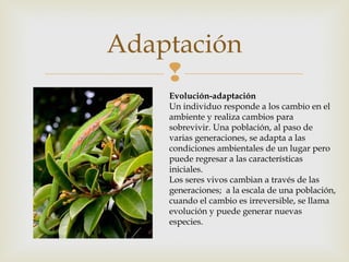 Adaptación 
 
Evolución-adaptación 
Un individuo responde a los cambio en el 
ambiente y realiza cambios para 
sobrevivir. Una población, al paso de 
varias generaciones, se adapta a las 
condiciones ambientales de un lugar pero 
puede regresar a las características 
iniciales. 
Los seres vivos cambian a través de las 
generaciones; a la escala de una población, 
cuando el cambio es irreversible, se llama 
evolución y puede generar nuevas 
especies. 
 