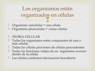 Los organismos están 
organizados en células 
 
 Organismo unicelular = una célula 
 Organismo pluricelular = varias células 
 TEORIA CELULAR 
 Todos los organismos están compuestos de una o 
más células 
 Todas las células provienen de células preexistentes 
 Todas las funciones vitales de un organismo ocurren 
dentro de la célula 
 Las células contienen información hereditaria 
 