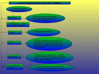 CARACTERISTICAS DEL ALMA DEL HOMBRE Es aquello que existe y actúa por si mismo El alma humana no es accidente del campo, como le puede ser su casualidad, cantidad, etc.  Subsistente La inteligencia y la voluntad son facultades espirituales Simple Inmoral Es espiritual No tiene partes materiales El hombre es mortal, pero no lo es, no se puede descomponer ya que es simple, no tiene partes no depende del cuerpo, ya que es espiritual y no puede ser aniquilada por ninguna criatura. No es sustancia completa No depende del cuerpo para ser. Lo espíritu no puede depender de los órganos materiales, por5que sus operaciones, entender, ganar van mañas allá de lo orgánico El alma humano no puede existir sin el cuerpo porque está unida a un cuerpo. 