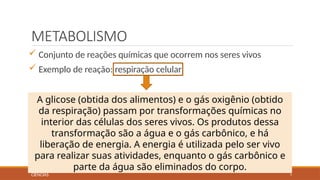 Características Gerais e Ciclo de Vida dos Seres Vivos na Ciência | PPTX