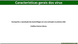 Acompanhe a reprodução dos bacteriófagos em uma animação no próximo slide
Créditos Science Library
Características gerais dos vírus
 
