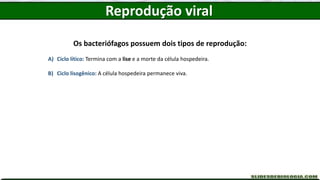 Os bacteriófagos possuem dois tipos de reprodução:
A) Ciclo lítico: Termina com a lise e a morte da célula hospedeira.
B) Ciclo lisogênico: A célula hospedeira permanece viva.
Reprodução viral
 