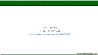 Créditos do vídeo
Youtube – Canal Butantã
https://www.youtube.com/watch?v=l9L2g66UkZU
 