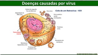 Síntese da segunda
fita de DNA viral
Receptores de
membrana
Vírus livre
Proteínas do
envoltório viral
Membrana
lipoprotéica viral
Degradação do
RNA viral
Proteínas
virais
Membrana
plasmática
RNA viral
Doenças causadas por vírus
Ciclo de um Retrovírus - HIV
Transcriptase
reversa
Vírus saindo e
sendo
envelopados
 