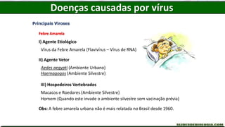 Principais Viroses
Febre Amarela
I) Agente Etiológico
Vírus da Febre Amarela (Flavivírus – Vírus de RNA)
II) Agente Vetor
Aedes aegypti (Ambiente Urbano)
Haemagogos (Ambiente Silvestre)
III) Hospedeiros Vertebrados
Macacos e Roedores (Ambiente Silvestre)
Homem (Quando este invade o ambiente silvestre sem vacinação prévia)
Obs: A febre amarela urbana não é mais relatada no Brasil desde 1960.
Doenças causadas por vírus
 
