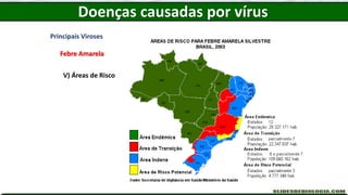 Principais Viroses
Febre Amarela
V) Áreas de Risco
Doenças causadas por vírus
 