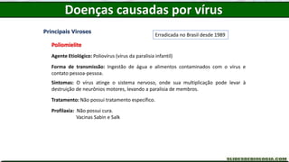 Doenças causadas por vírus
Principais Viroses
Poliomielite
Agente Etiológico: Poliovírus (vírus da paralisia infantil)
Forma de transmissão: Ingestão de água e alimentos contaminados com o vírus e
contato pessoa-pessoa.
Sintomas: O vírus atinge o sistema nervoso, onde sua multiplicação pode levar à
destruição de neurônios motores, levando a paralisia de membros.
Tratamento: Não possui tratamento específico.
Profilaxia: Não possui cura.
Vacinas Sabin e Salk
Erradicada no Brasil desde 1989
 