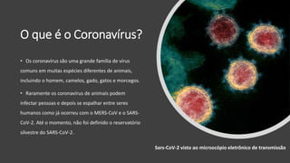 O que é o Coronavírus?
• Os coronavírus são uma grande família de vírus
comuns em muitas espécies diferentes de animais,
incluindo o homem, camelos, gado, gatos e morcegos.
• Raramente os coronavírus de animais podem
infectar pessoas e depois se espalhar entre seres
humanos como já ocorreu com o MERS-CoV e o SARS-
CoV-2. Até o momento, não foi definido o reservatório
silvestre do SARS-CoV-2.
Sars-CoV-2 visto ao micrsocópio eletrônico de transmissão
 