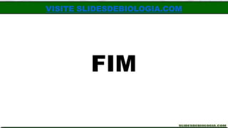 FIM
VISITE SLIDESDEBIOLOGIA.COM
 