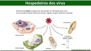 Praticamente todos os organismos vivos podem ser infectados pelos vírus.
Os vírus podem infectar células de animais, vegetais, fungos, bactérias e protistas.
Célula Animal
Célula Vegetal Bactéria
Fungo
Protozoário
Vírus
Hospedeiros dos vírus
 