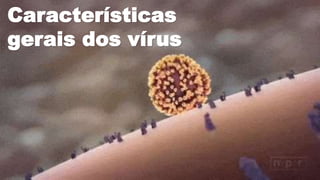 Características
gerais dos vírus
 