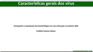 Acompanhe a reprodução dos bacteriófagos em uma animação no próximo slide
Créditos Science Library
Características gerais dos vírus
 