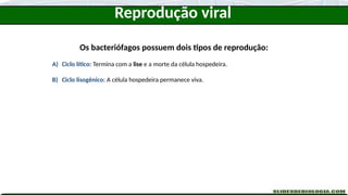 Os bacteriófagos possuem dois tipos de reprodução:
A) Ciclo lítico: Termina com a lise e a morte da célula hospedeira.
B) Ciclo lisogênico: A célula hospedeira permanece viva.
Reprodução viral
 
