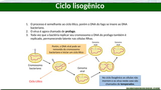 1. O processo é semelhante ao ciclo lítico, porém o DNA do fago se insere ao DNA
bacteriano.
2. O vírus é agora chamado de profago.
3. Toda vez que a bactéria replicar seu cromossomo o DNA do profago também é
replicado, permanecendo latente nas células filhas.
Cromossomo
bacteriano Genoma
viral
Porém, o DNA viral pode ser
removido do cromossomo
bacteriano e iniciar um ciclo lítico
Genoma
viral
Genoma
viral
Ciclo Lítico
No ciclo lisogênico as células não
morrem e os vírus neste caso são
chamados de temperados.
Ciclo lisogênico
 