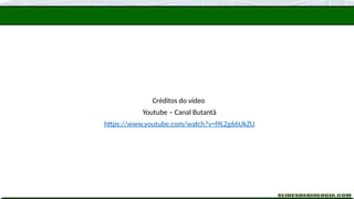 Créditos do vídeo
Youtube – Canal Butantã
https://www.youtube.com/watch?v=l9L2g66UkZU
 