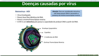 Doenças causadas por vírus
Retrovírus - HIV
o Vírus Envelopado.
o Possui duas fitas idênticas de RNA.
o Possui a enzimaTranscriptase reversa.
o O HIV é um retrovírus pois possui a capacidade de produzir DNA a partir de RNA.
Envelope Lipoprotéico
Capsídeo
2 moléculas de RNA
Enzimas Transcriptase Reversa
Atenção: Para ser considerado retrovírus,
não basta possuir RNA é necessário a
presença da enzima transcriptase reversa.
 