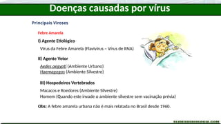 Principais Viroses
Febre Amarela
I) Agente Etiológico
Vírus da Febre Amarela (Flavivírus – Vírus de RNA)
II) Agente Vetor
Aedes aegypti (Ambiente Urbano)
Haemagogos (Ambiente Silvestre)
III) Hospedeiros Vertebrados
Macacos e Roedores (Ambiente Silvestre)
Homem (Quando este invade o ambiente silvestre sem vacinação prévia)
Obs: A febre amarela urbana não é mais relatada no Brasil desde 1960.
Doenças causadas por vírus
 