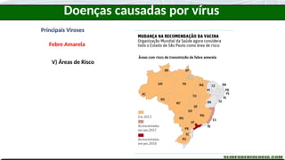 Principais Viroses
Febre Amarela
V) Áreas de Risco
Doenças causadas por vírus
 