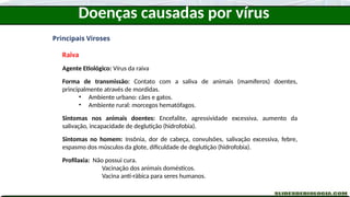 Doenças causadas por vírus
Principais Viroses
Raiva
Agente Etiológico: Vírus da raiva
Forma de transmissão: Contato com a saliva de animais (mamíferos) doentes,
principalmente através de mordidas.
• Ambiente urbano: cães e gatos.
• Ambiente rural: morcegos hematófagos.
Sintomas nos animais doentes: Encefalite, agressividade excessiva, aumento da
salivação, incapacidade de deglutição (hidrofobia).
Sintomas no homem: Insônia, dor de cabeça, convulsões, salivação excessiva, febre,
espasmo dos músculos da glote, dificuldade de deglutição (hidrofobia).
Profilaxia: Não possui cura.
Vacinação dos animais domésticos.
Vacina anti-rábica para seres humanos.
 