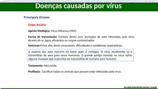 Doenças causadas por vírus
Principais Viroses
Gripe Aviária
Agente Etiológico: Vírus Influenza H5N1
Forma de transmissão: Contato direto com secreções de aves infectadas pelo vírus
através do ar, água, alimentos ou roupas contaminadas.
Sintomas:Febre alta, dores musculares, dificuldades e problemas respiratórios.
Tratamento: Não existe.
Profilaxia: Sacrificar todos os animais que possam estar infectadas pelo vírus.
A maioria das aves morrem 24 horas após o contágio. O vírus atualmente só é
transmitido de aves para seres humanos. O grande perigo consiste no vírus sofrer
alguma mutação que o permita ser transmitido de humano para humano.
 